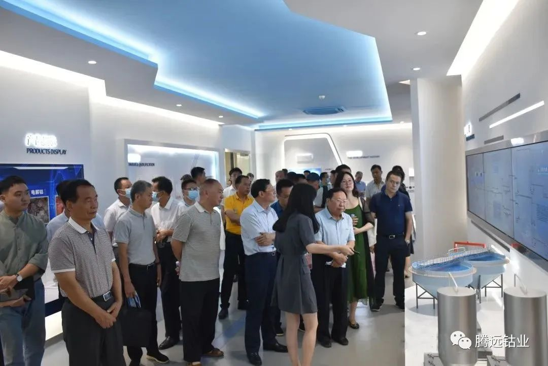 贝博betball体育app下载