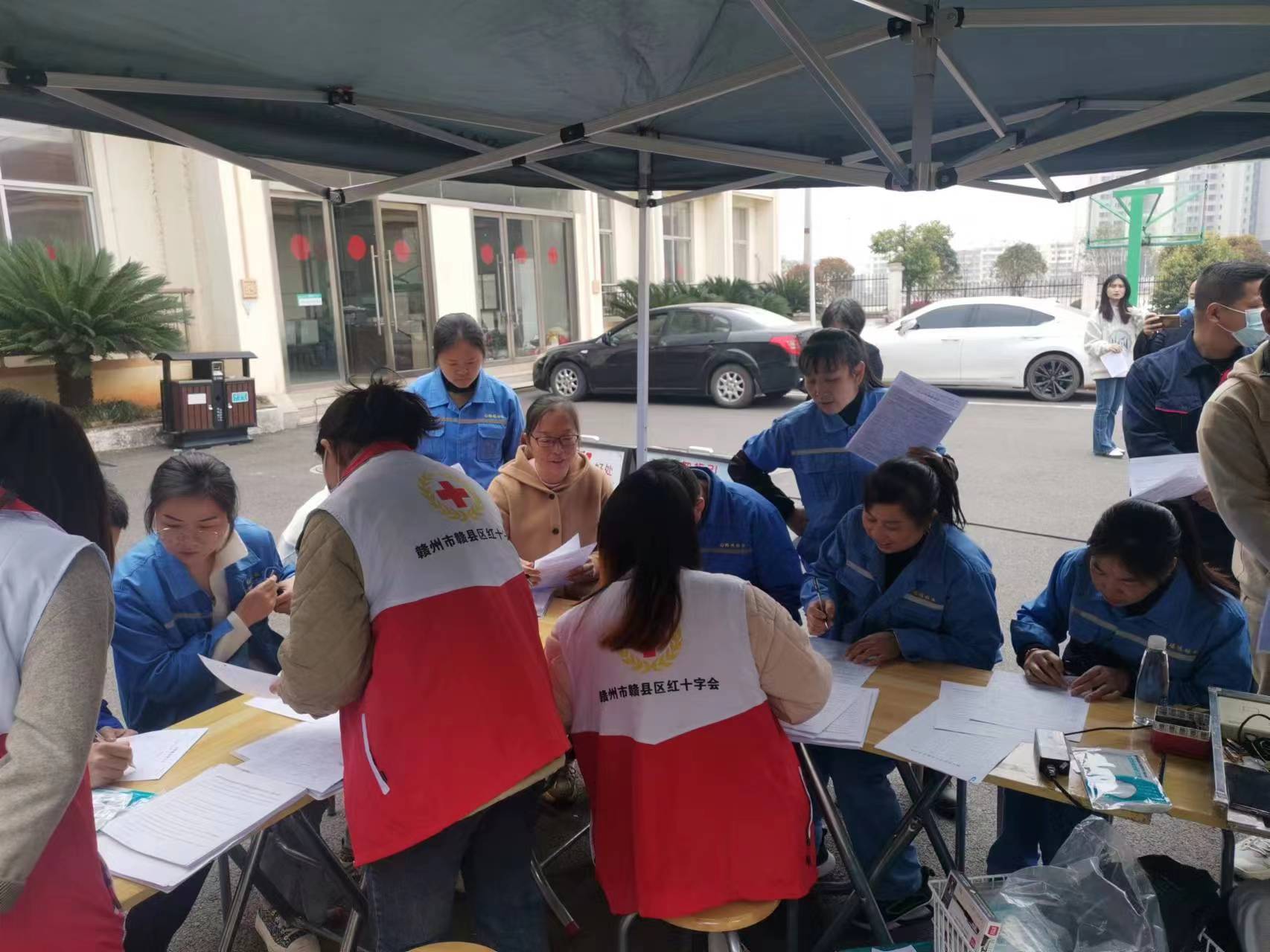 贝博betball体育app下载