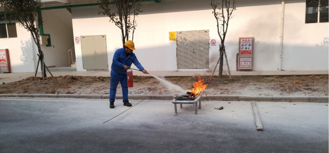 贝博betball体育app下载