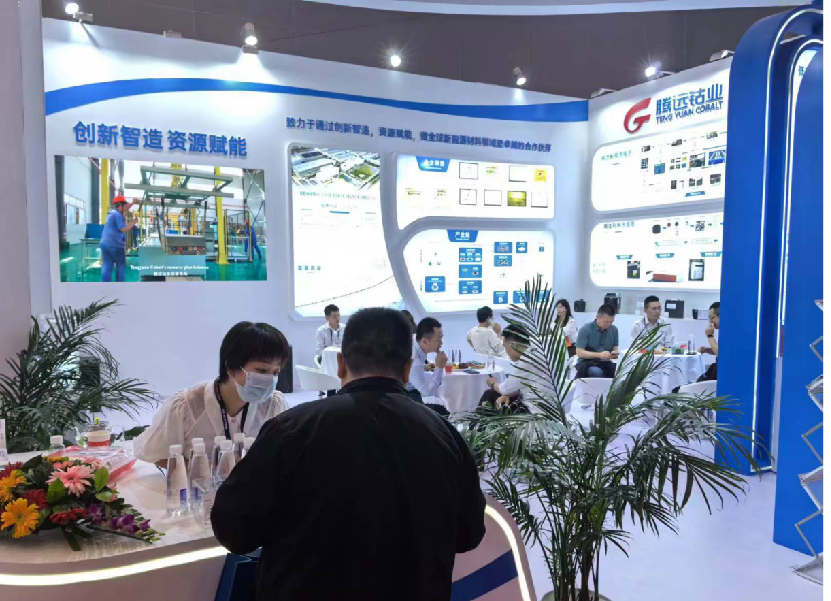 贝博betball体育app下载