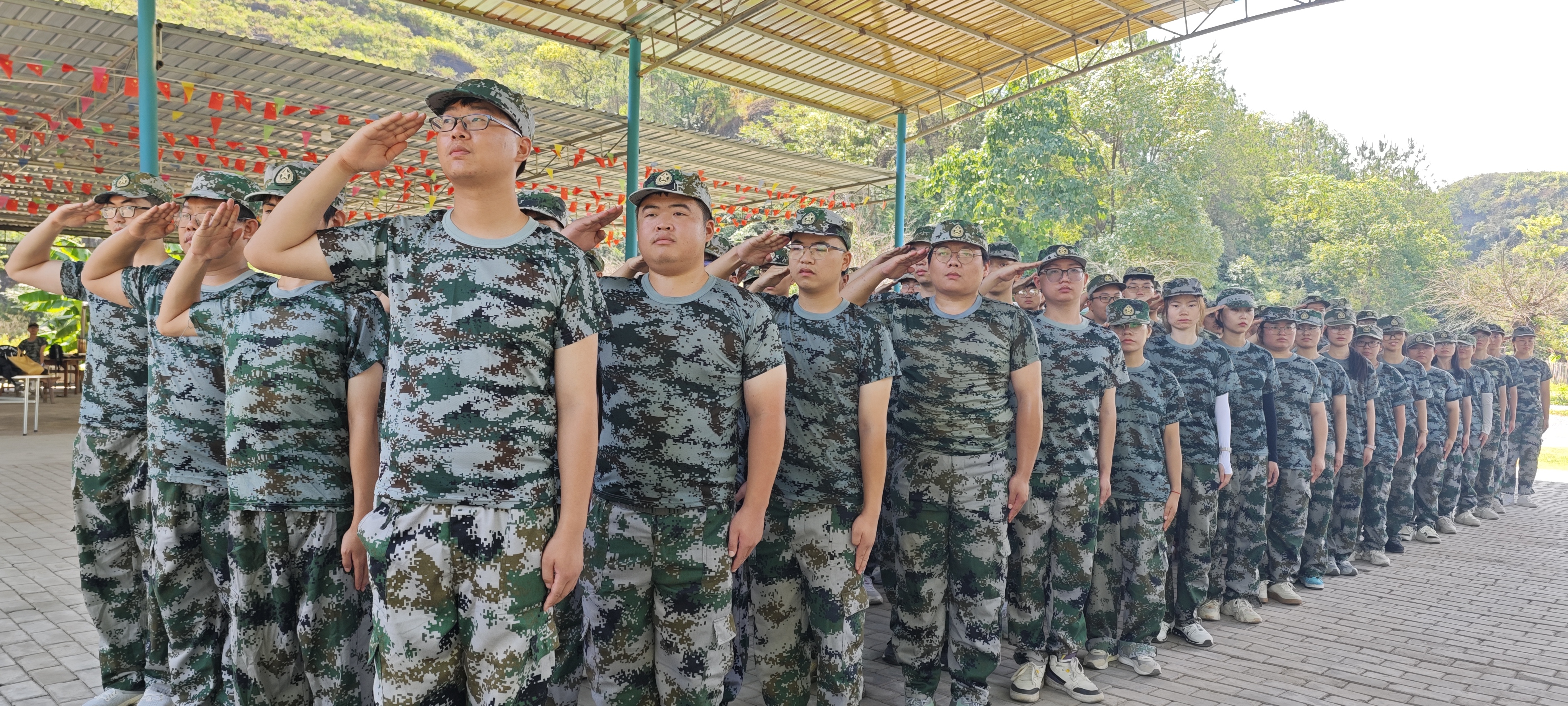 贝博betball体育app下载