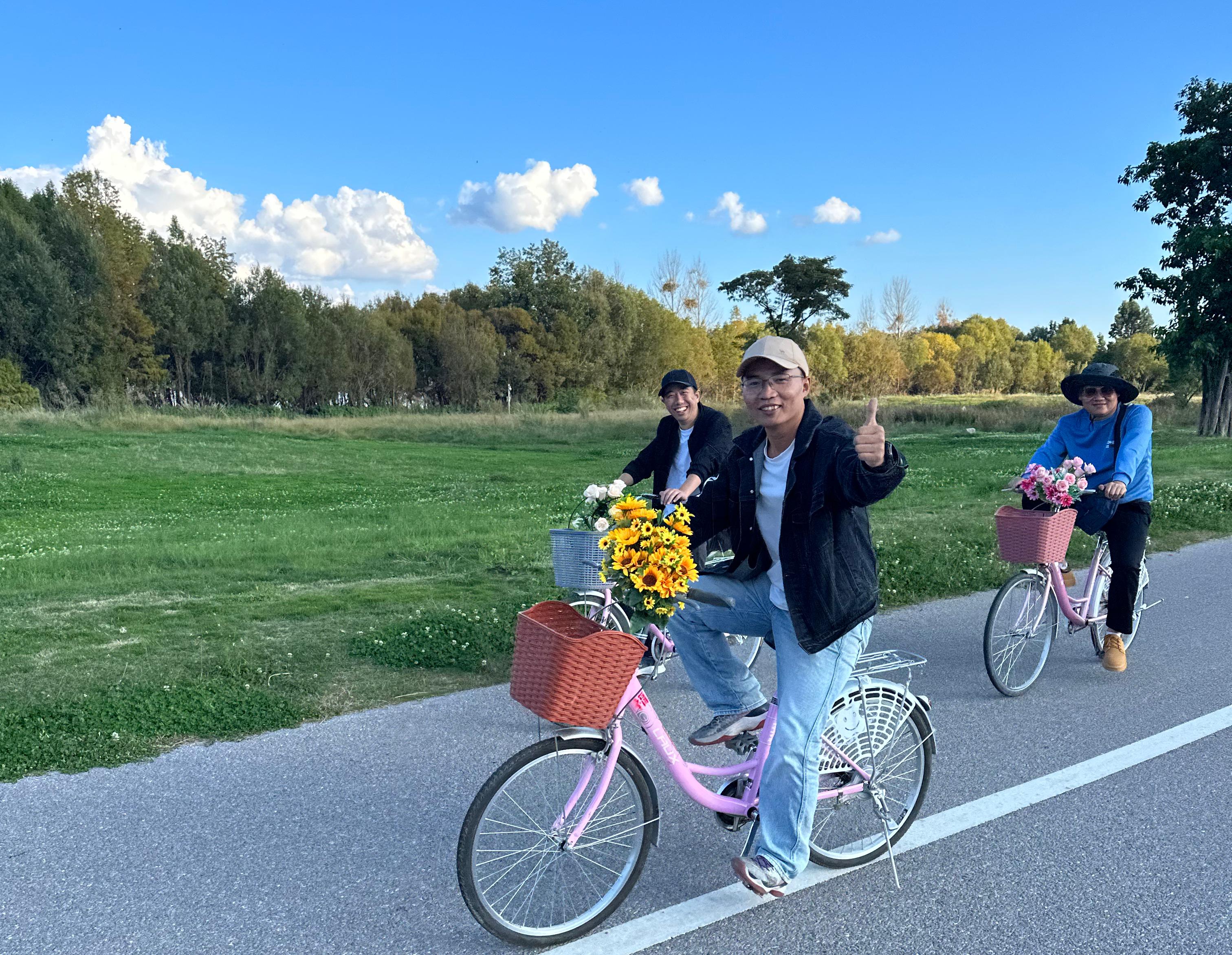 贝博betball体育app下载